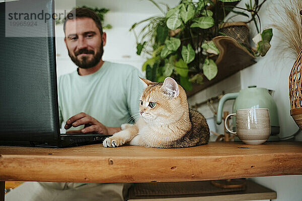 Mann mit Katze benutzt Laptop in der heimischen Küche