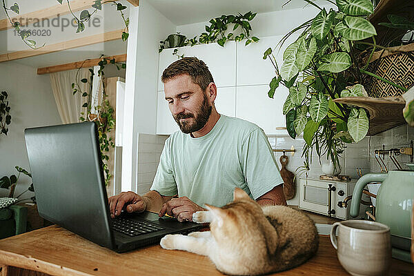 Mann mit Katze benutzt Laptop in der heimischen Küche