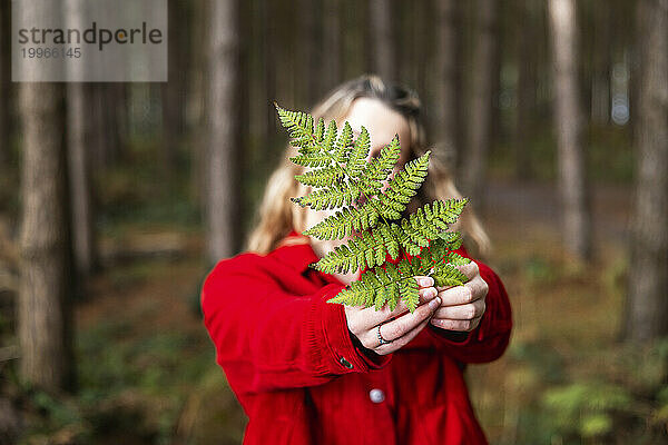 Junge Frau hält Farnblatt im Wald von Cannock Chase