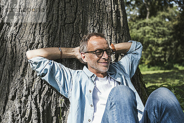 Älterer Mann mit Händen hinter dem Kopf sitzt vor Baum