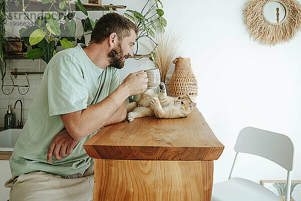 Man playing with cat on wooden table at home