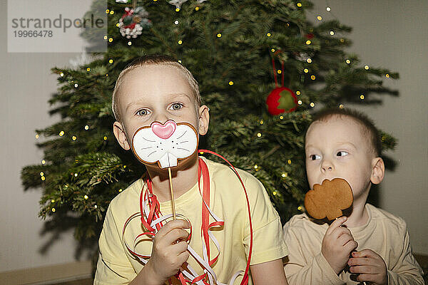 Brüder halten neben dem Weihnachtsbaum Kekse über ihre Gesichter