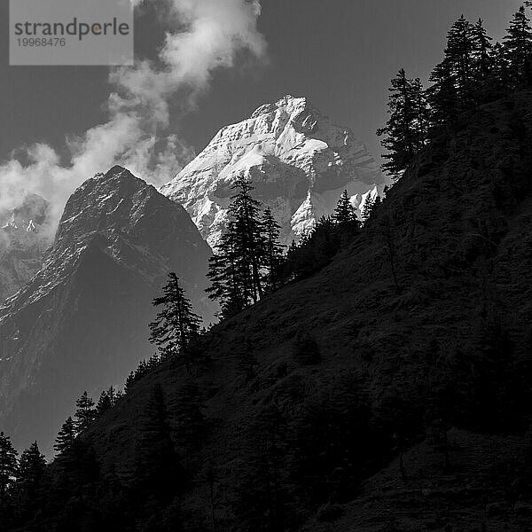 Der Gipfel des Lapuchung (5969 m)  mit den Silhouetten einiger Bäume im Vordergrund  gesehen vom Weg zwischen den Dörfern Nyak Phedi und Deng. Eine monochrome Fotografie in Graustufen. Manaslu Circuit Trek  Manaslu Conservation Area  Sringi (Serang) Himal  Himlayas. Provinz Gandaki  Bezirk Gorkha  Nepal  Asien