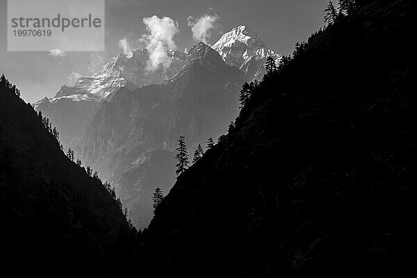 Der Gipfel des Lapuchung (5969 m)  mit den Silhouetten einiger Bäume im Vordergrund  gesehen vom Weg zwischen den Dörfern Nyak Phedi und Deng. Eine monochrome Fotografie in Graustufen. Manaslu Circuit Trek  Manaslu Conservation Area  Sringi (Serang) Himal  Himlayas. Provinz Gandaki  Bezirk Gorkha  Nepal  Asien