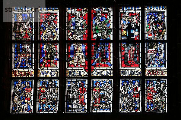 Buntes Kirchenfenster mit Inschrift Kain wo ist dein Bruder Abel  1. Moses 4  9  Bibelzitat  Bibelstelle  erster  erste  Mose  Brudermord  Frage  Sünde  biblisch  schwarz  blau  rot  Silhouette  Glasmalerei  Kunsthandwerk  Katharinenkirche  Oppenheim  Rheinhessen  Rheinland-Pfalz  Deutschland  Europa