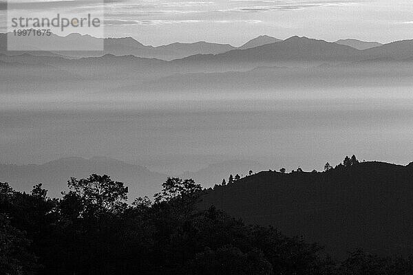 Silhouetten der Bergkämme des Himalaya über den Wolken in den Tälern und einige Bäume im Vordergrund  gesehen am frühen Morgen eines Novembertages von Nagarkot  dem beliebten Aussichtspunkt über dem Kathmandutal. Eine monochrome Fotografie in Graustufen. Bezirk Bhaktapur  Bagmati Provinz  Nepal  Asien