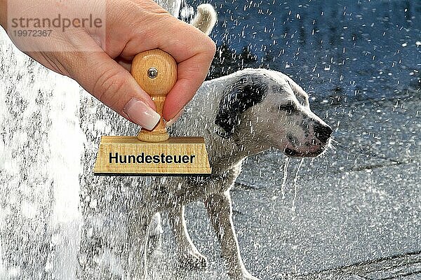 Ein Hund erfrischt sich im Wasser eines Brunnens  Hund  Tier  Säugetier  Hundesteuer  Stempel  Hand  Holzstempel  Niedersachsen  Bundesrepublik Deutschland  Europe