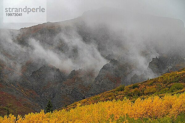 Blick auf Berg Details mit Herbstfarben und Nebel Interior Alaska USA