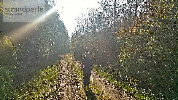 Eine Seniorin beim Nordic-Walking auf einem Waldweg im Gegenlicht der Sonne