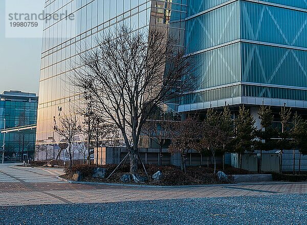 Niedriger Winkel Blick auf Glas Bürogebäude und Bürgersteig bei Sonnenuntergang