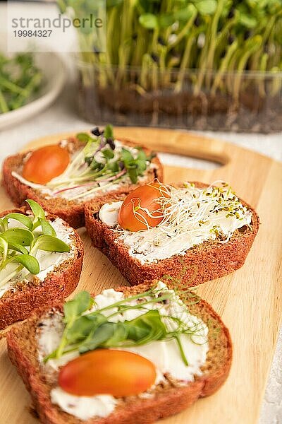 Rote Rüben Brot Sandwiches mit Frischkäse  Tomaten und Mikrogrün auf grauem Betonhintergrund. Seitenansicht  Nahaufnahme  selektiver Fokus