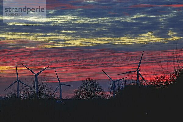 Silhouetten von Windrädern vor einem roten Abendhimmel  Braunkohle-Tagebau  Nordrhein-Westfalen  Deutschland  Europa