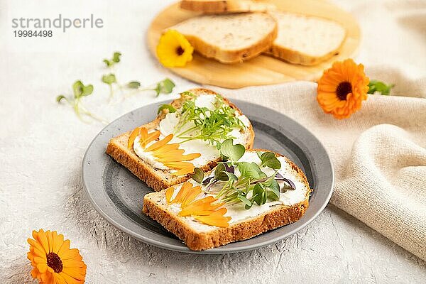 Weißbrot Sandwiches mit Frischkäse  Ringelblumenblüten und mikrogrünem Rettich und Tagetes auf grauem Betonhintergrund und Leinentextil. Seitenansicht  selektiver Fokus