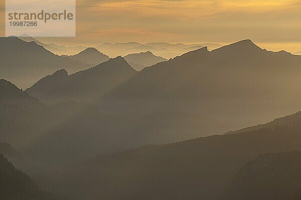 Berggipfel als Silhouette im Abendlicht  Dunst  Gegenlicht  Blick vom Nebelhorn auf Allgäuer Alpen  Allgäu  Deutschland  Europa