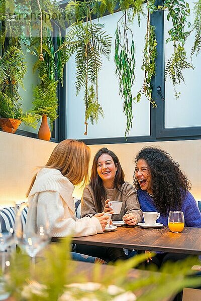 Vertikales Foto mit Kopierbereich von drei Freundinnen  die in einer Cafeteria lachen
