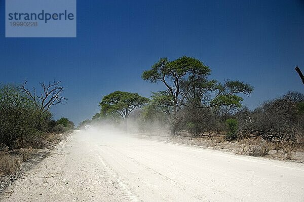 Die C44 bei Tsumke  Strasse  Highway  Weg  mittig  niemand  einsam  Roadtripp  Landschaft  Reise  Auto  Abenteuer  Sandpiste  staub  staubig  Entfernung  Namibia  Afrika