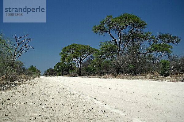 Die C44 bei Tsumke  Strasse  Highway  Weg  mittig  niemand  einsam  Roadtripp  Landschaft  Reise  Auto  Abenteuer  Sandpiste  Entfernung  Namibia  Afrika