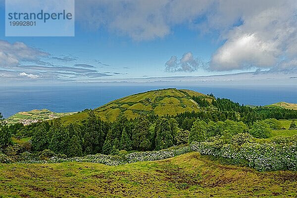 In die Ferne schweifender Blick über grünen Vulkankegel bis zum Meer und heiteren Himmel  Caldeira das Sete Cidades  Sete Cidades  Insel Sao Miguel  Azoren  Portugal  Europa