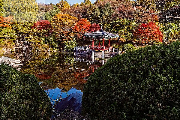 Schöne orientalische Pavillon mit Terrakottafliesen Dach am Rande des Menschen gemacht Teich mit Bäumen in Herbstfarben und kleinen Wasserfall im Hintergrund