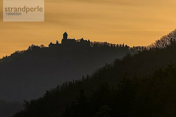 Silhouette der Haut Koenigsbourg auf der Spitze eines Berges. Bas-Rhin  Elsass  Grand Est  Frankreich  Europa