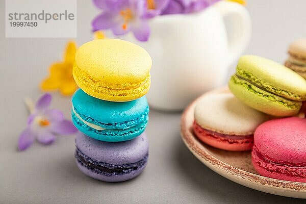 Mehrfarbige Makronen mit Frühlings Schneeglöckchen Krokusblüten auf grauem Pastell Hintergrund. Seitenansicht  Nahaufnahme  Stillleben  selektiver Fokus. Frühstück  Morgen  Frühling Konzept