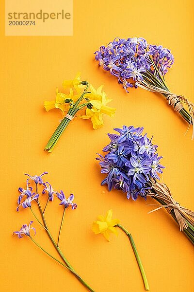Frühling Schneeglöckchen Blumen Bluebells  Narzissen auf orange Pastell Hintergrund. Seitenansicht  Nahaufnahme  Stillleben. Schönheit  Frühling Konzept