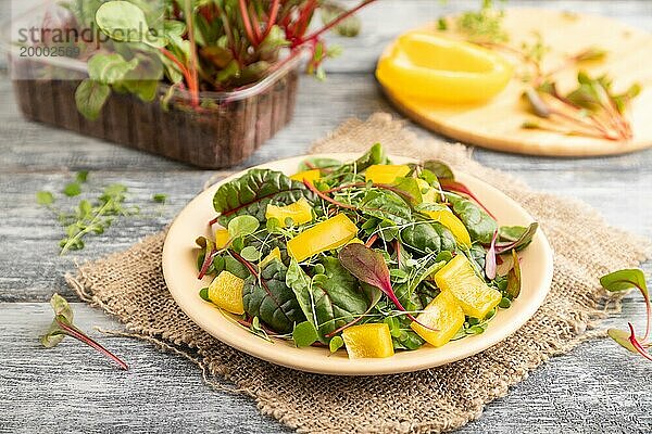 Vegetarischer Gemüsesalat aus gelber Paprika  Rüben und mikrogrünen Sprossen auf grauem Holzhintergrund und Leinentuch. Seitenansicht  Nahaufnahme  selektiver Fokus