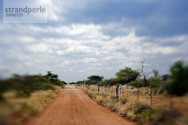 Sandpiste mit roter Erde  analog  unscharf  unscharfe  Roadtripp  Reise  Safari  Urlaub  niemand  einsam  Strecke  Sandpiste  Off-Road  Abenteuer  Namibia  Afrika