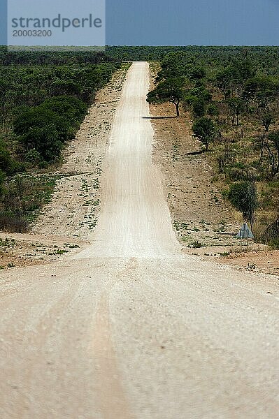 Die C44 bei Tsumke  Strasse  Highway  Weg  mittig  niemand  einsam  Roadtripp  Landschaft  Reise  Auto  Abenteuer  Sandpiste  Entfernung  Namibia  Afrika