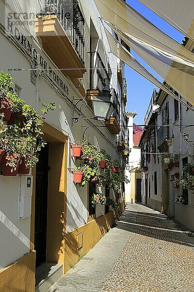 Attraktive schattige Häuser  gepflasterte Straße in einem Teil der Stadt  Horno de Porras  Cordoba  Spanien  Europa