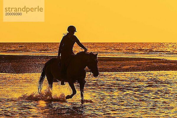 Reiterin / Reiter auf dem Pferderücken reitet durch das Wasser am Strand entlang der Nordseeküste  Silhouette bei Sonnenuntergang im Sommer