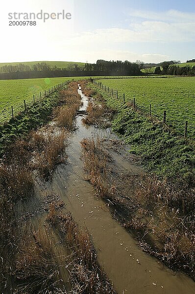 Der Fluss Kennet fließt über Felder in Richtung Swallowhead Springs  West Kennet  Wiltshire  England  UK