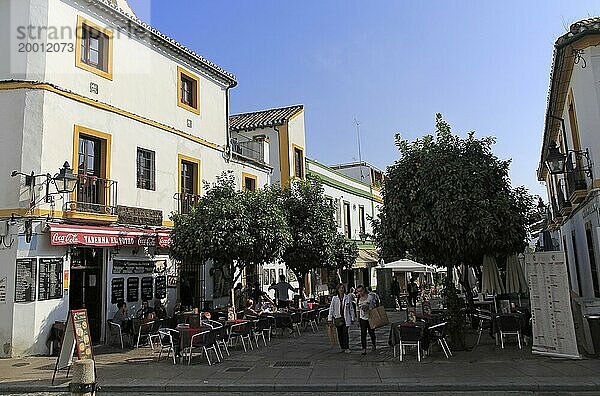 Menschen sitzen im Freien Tische und Stühle von Restaurants im alten Teil des Stadtzentrums  Cordoba  Spanien  Europa
