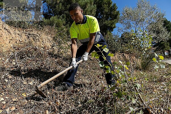 Junger männlicher Latino Gärtner in reflektierender Arbeitskleidung beim Umgraben und Roden von Land für die Bepflanzung