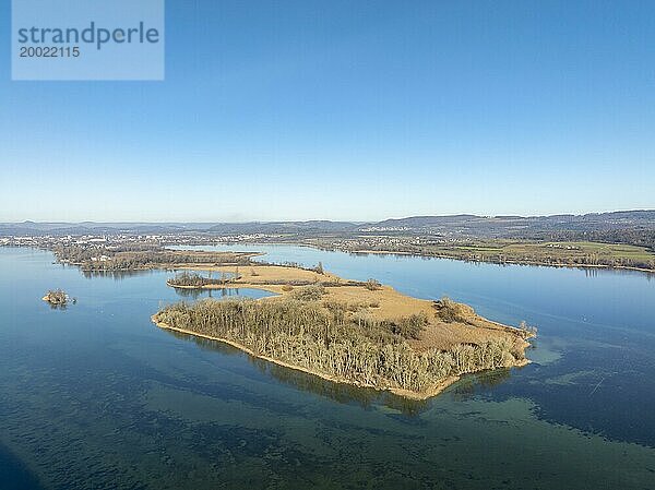 Luftbild-Panorama von der Halbinsel Mettnau an einem klaren Wintertag  am Horizont die Stadt Radolfzell am Bodensee  Landkreis Konstanz  Baden-Württemberg  Deutschland  Europa