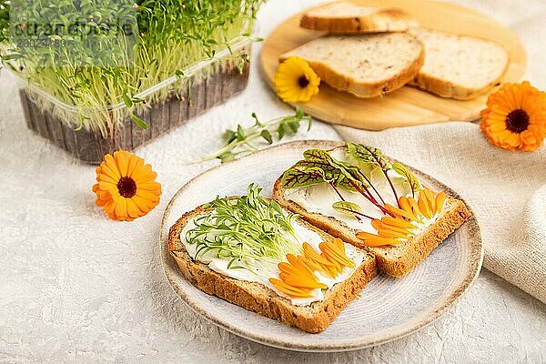 Weißbrotsandwiches mit Frischkäse  Ringelblumenblüten und Mikrogrün auf grauem Betonhintergrund und Leinentextil. Seitenansicht  Nahaufnahme  selektiver Fokus