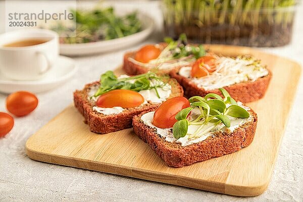 Rote Rüben Brot Sandwiches mit Frischkäse  Tomaten und Mikrogrün auf grauem Betonhintergrund. Seitenansicht  Nahaufnahme  selektiver Fokus