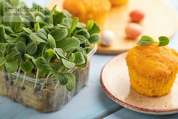 Hausgemachte Kuchen mit Schokoladeneiern und Borretsch Mikrogrün auf blauem Holzhintergrund. Seitenansicht  Nahaufnahme  selektiver Fokus