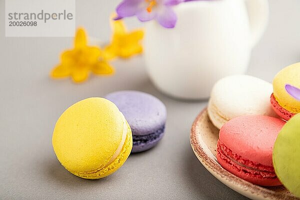 Mehrfarbige Makronen mit Frühlings Schneeglöckchen Krokusblüten auf grauem Pastell Hintergrund. Seitenansicht  Nahaufnahme  Stillleben  selektiver Fokus. Frühstück  Morgen  Frühling Konzept