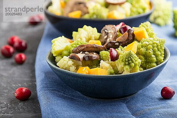 Vegetarischer Salat aus Romanesco Kohl  Champignons  Preiselbeeren  Avocado und Kürbis auf schwarzem Betonhintergrund und blauem Textil. Seitenansicht  Nahaufnahme  selektiver Fokus