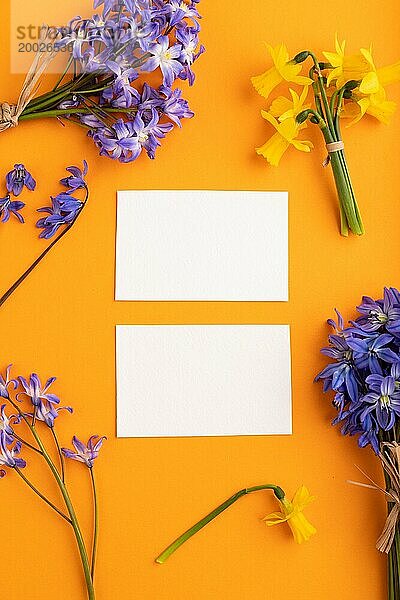 Weißes Papier Visitenkarten mit Frühling Schneeglöckchen Blumen Bluebells  Narzissen auf orange Pastell Hintergrund. Ansicht von oben  flach legen  Kopie Raum  Stillleben  Mockup  Vorlage. Schönheit  Frühling Konzept