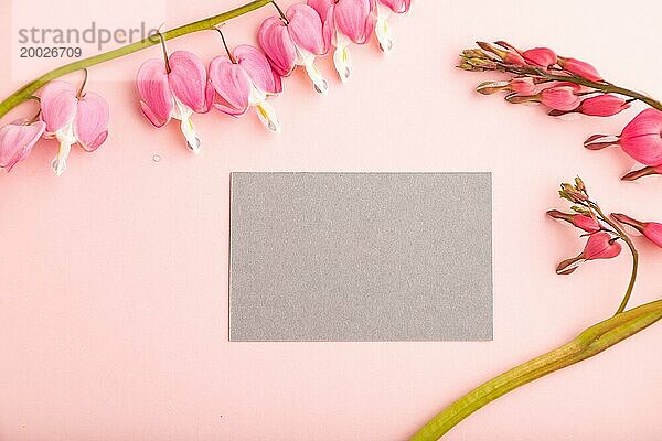 Graue Visitenkarte mit rosa Dicentra  gebrochenes Herz Blumen auf rosa Pastell Hintergrund. Draufsicht  flach legen  Kopie Raum  Mockup  Vorlage  Frühling  Sommer Minimalismus Konzept