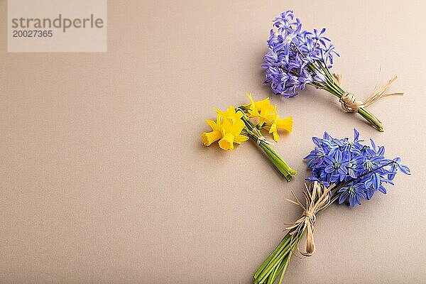 Frühling Schneeglöckchen Blumen Bluebells  Narzissen auf beige Pastell Hintergrund. Seitenansicht  Kopie Raum  Stillleben. Schönheit  Frühling Konzept