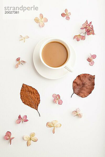 Komposition mit brauner Buche Herbst Blätter  Hortensienblüten und Tasse Kaffee. Mockup auf weißem Hintergrund. Leer  flach legen  Draufsicht  Stillleben  Nahaufnahme