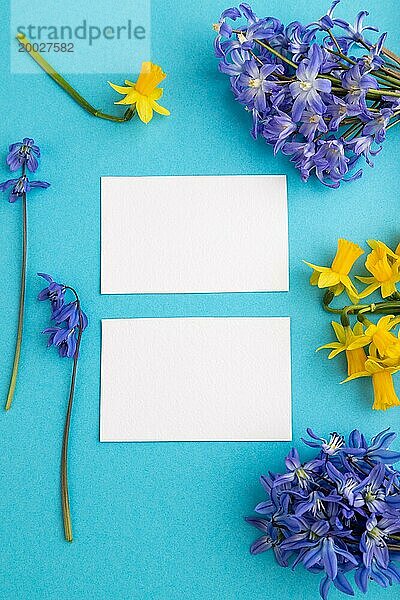 Weißes Papier Visitenkarten mit Frühling Schneeglöckchen Blumen Bluebells  Narzissen auf blauen Pastell Hintergrund. Ansicht von oben  flach legen  Kopie Raum  Stillleben  Mockup  Vorlage. Schönheit  Frühling Konzept