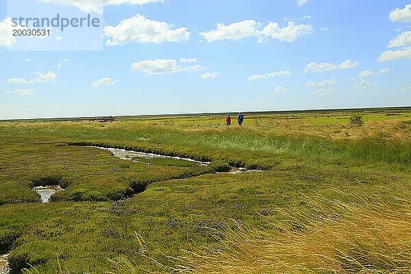 Flusslandschaft des Butley Creek  Boyton  Suffolk  England  Großbritannien Menschen  die auf einem Fußweg an einer Hochwasserschutzmauer entlanggehen