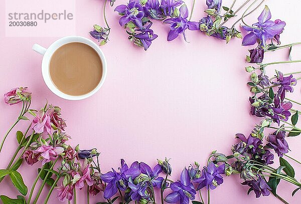 Rosa und lila Akelei Blumen und eine Tasse Kaffee auf Pastell rosa Hintergrund. Morninig  Frühling  Mode Zusammensetzung. Flachlage  Draufsicht  Kopierraum