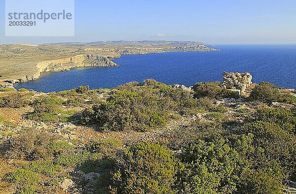 Küstenlandschaft  Vegetation  blaues Meer  Blick nach Süden von Res il Qammieh  Halbinsel Marfa  Republik Malta