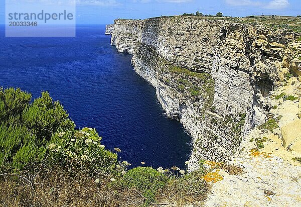 Küstenklippenlandschaft mit Blick nach Westen auf die Ta' Cenc Klippen  Insel Gozo  Malta  Europa
