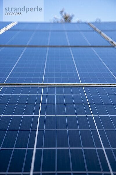 Blickwinkel von unten auf Solarmodule vor klarem blauen Himmel symbolisiert erneuerbare Energie  selektiver Fokus  Oberfranken  Deutschland  Europa
